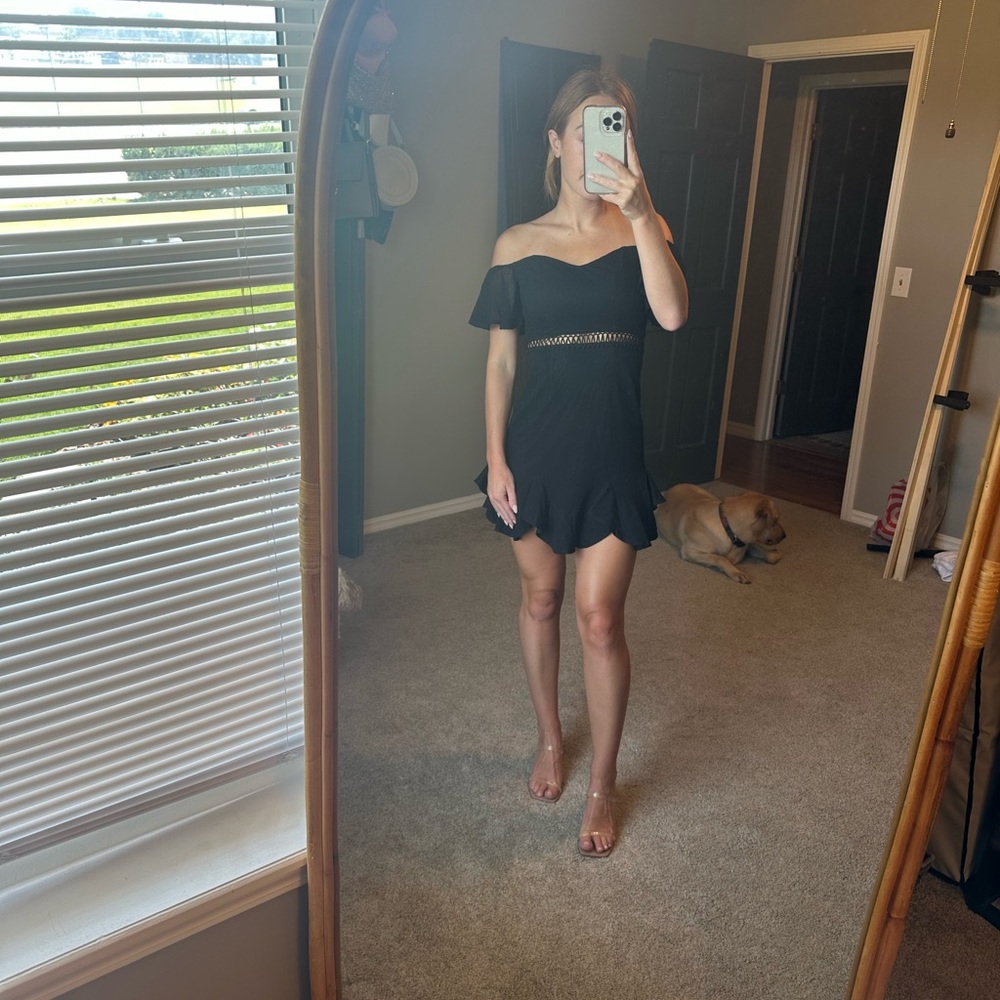 NWT Hello Molly In Other News Dress Black Mesh - Picture 2 of 10